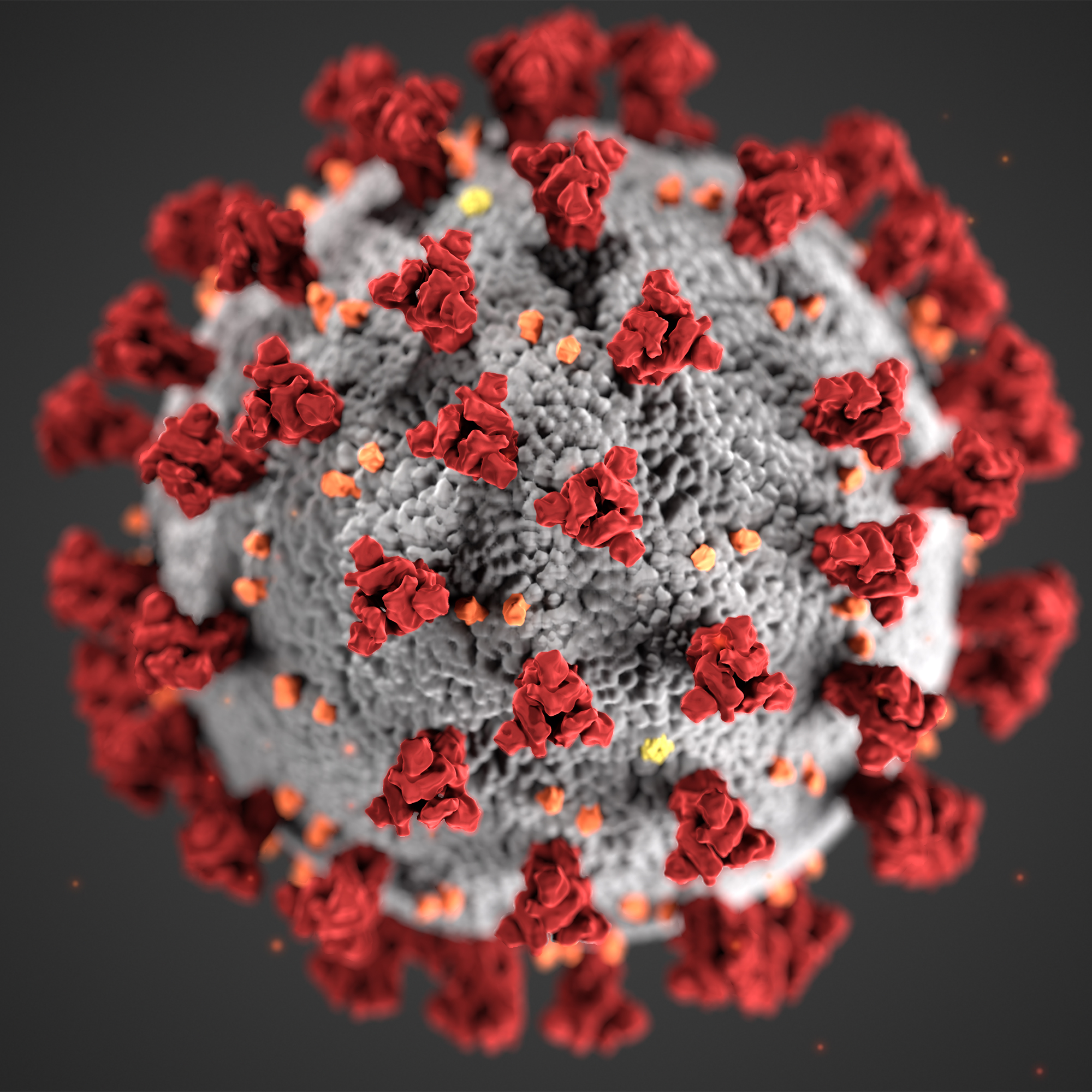Coronavirus COVID-19 Virus Illustration CDC