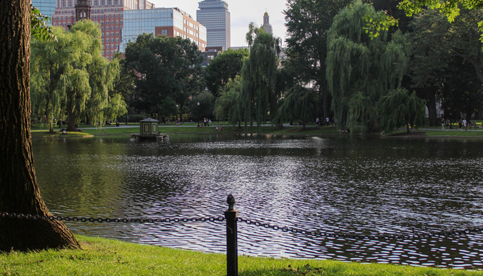 Boston Common Lake